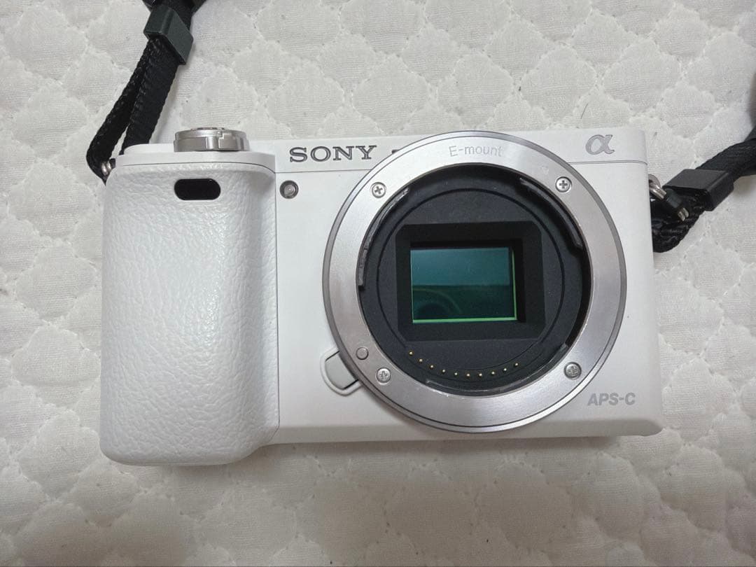 α6000 ミラーレス一眼カメラセット