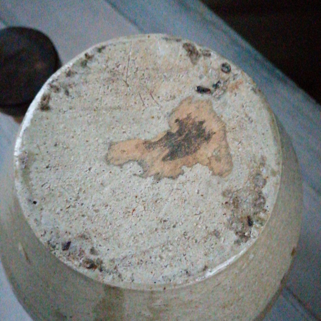 信楽焼　四耳茶壺　23cm　幕末〜明治期