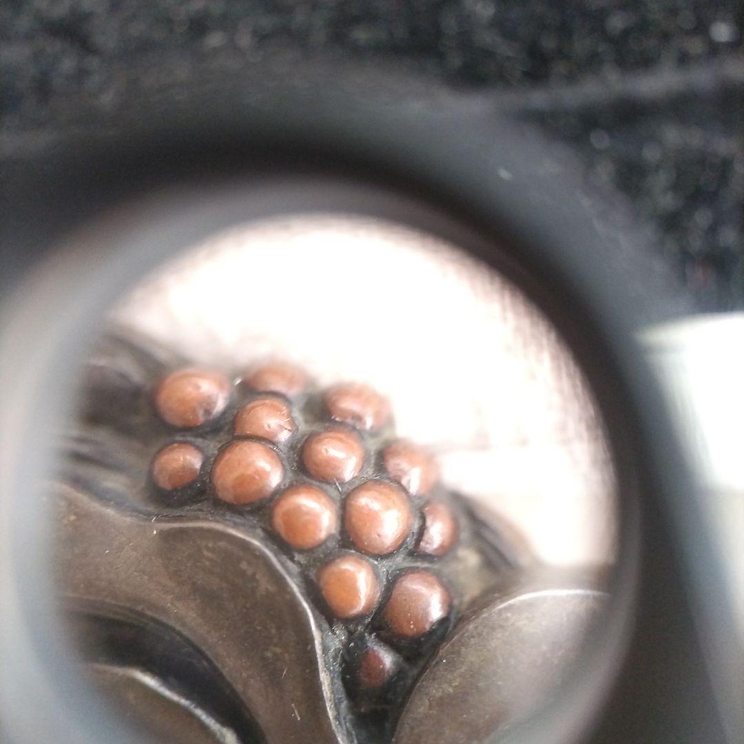 時代 前金具 在銘 万年青 アンティーク