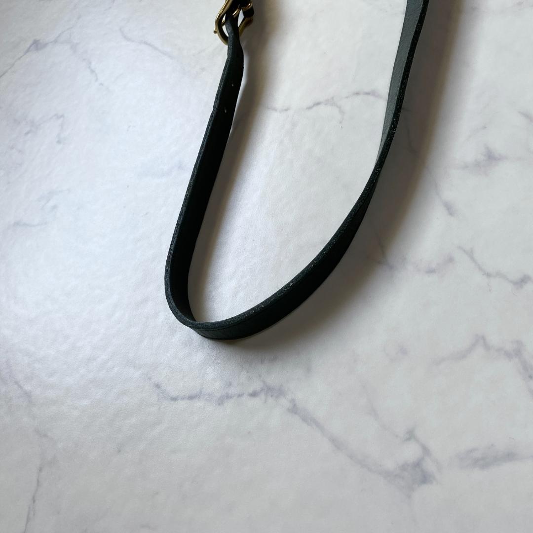 COACH オールドコーチ ショルダーバッグ クロスボディ USA製 グリーン