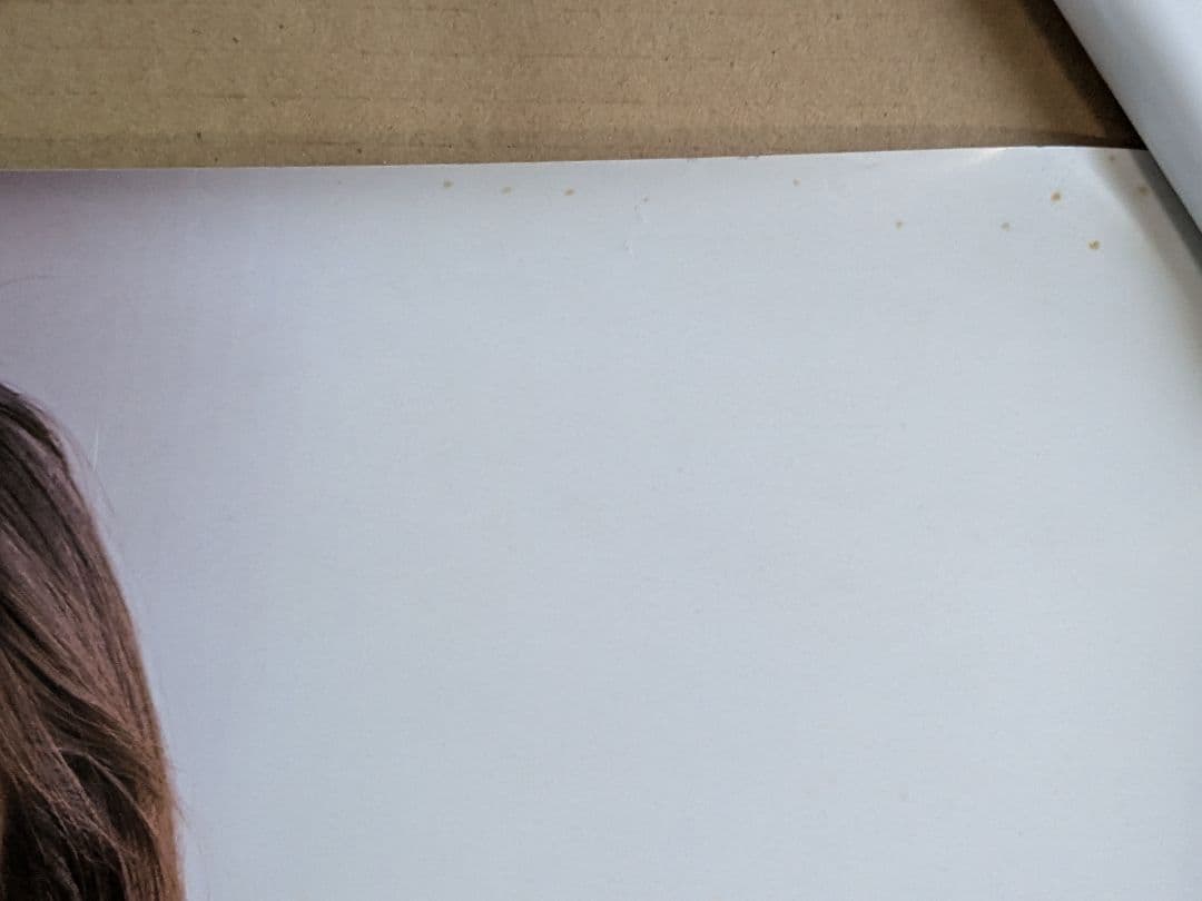 かとうれいこ　B2サイズポスター