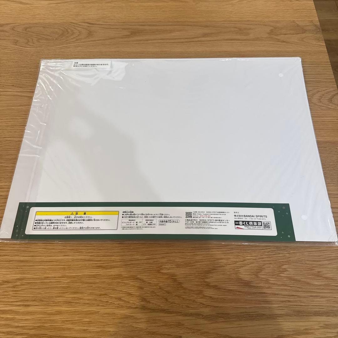 Mrs. GREEN APPLE ビジュアルボード２枚セット