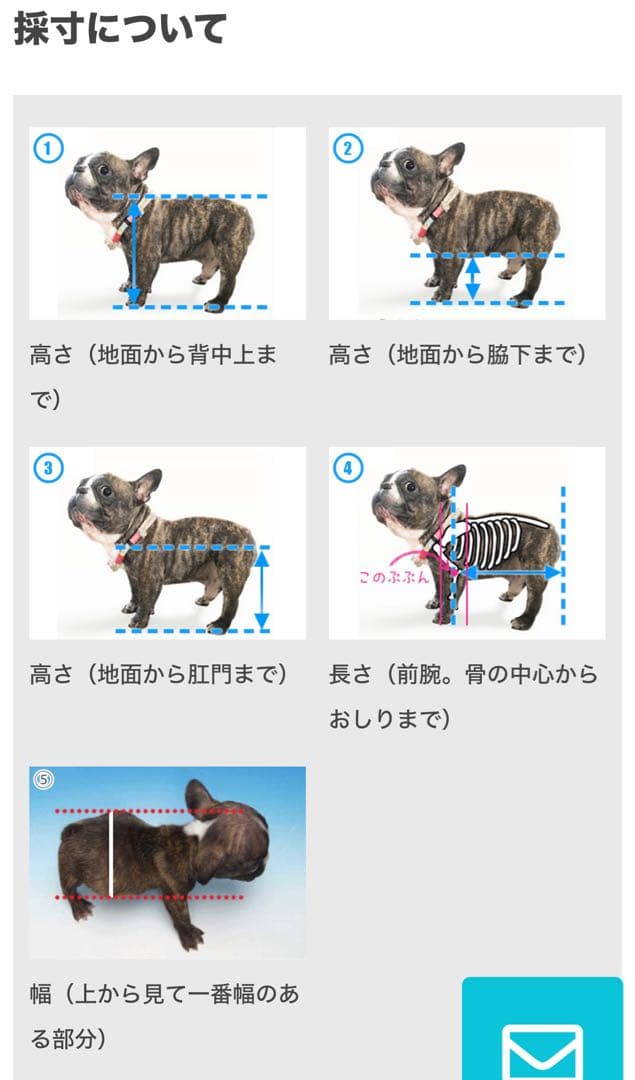 天使の車輪 犬用車いす イエロー 前輪 顎乗せクッション付き