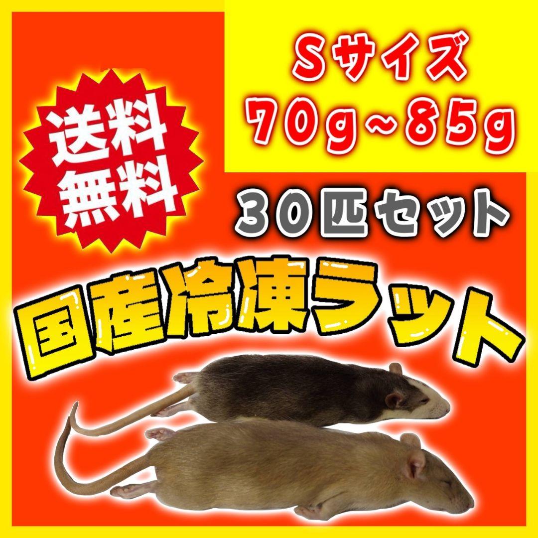 冷凍ラット 30匹 70~85g