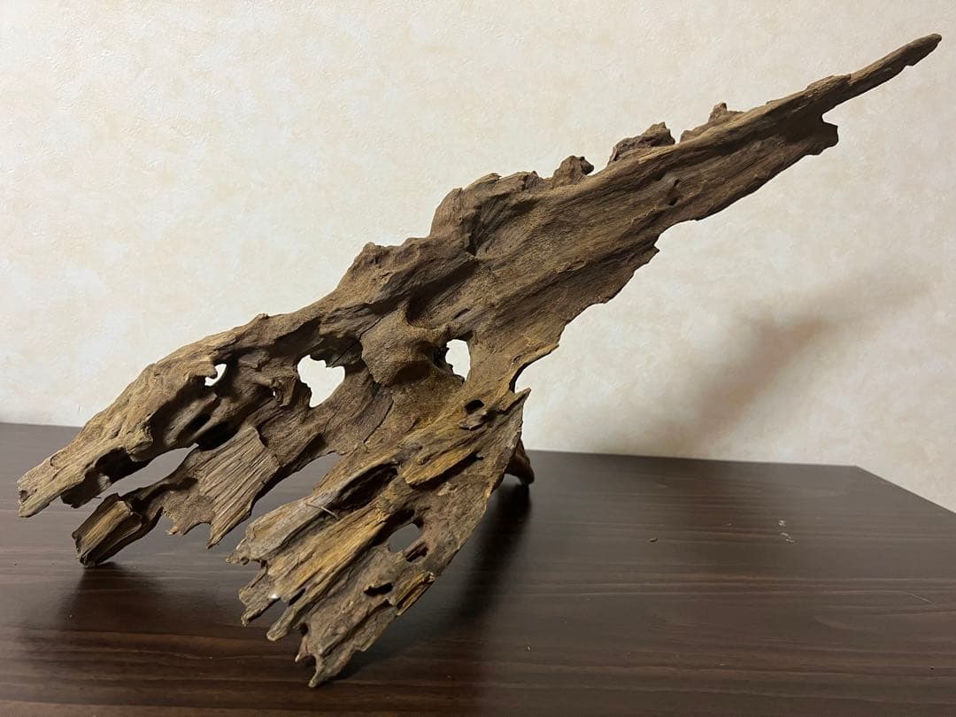 XM-363 ブランチウッド　流木　マシンガンウッド　アクアリウム　爬虫類