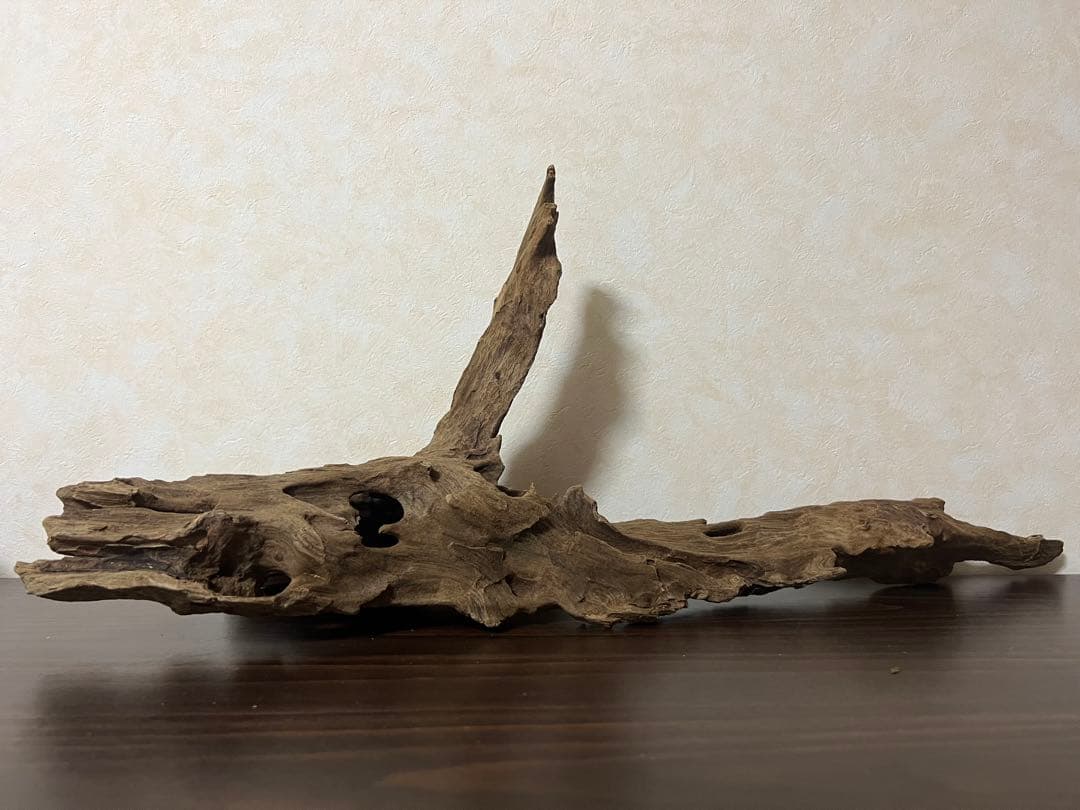 XM-363 ブランチウッド　流木　マシンガンウッド　アクアリウム　爬虫類