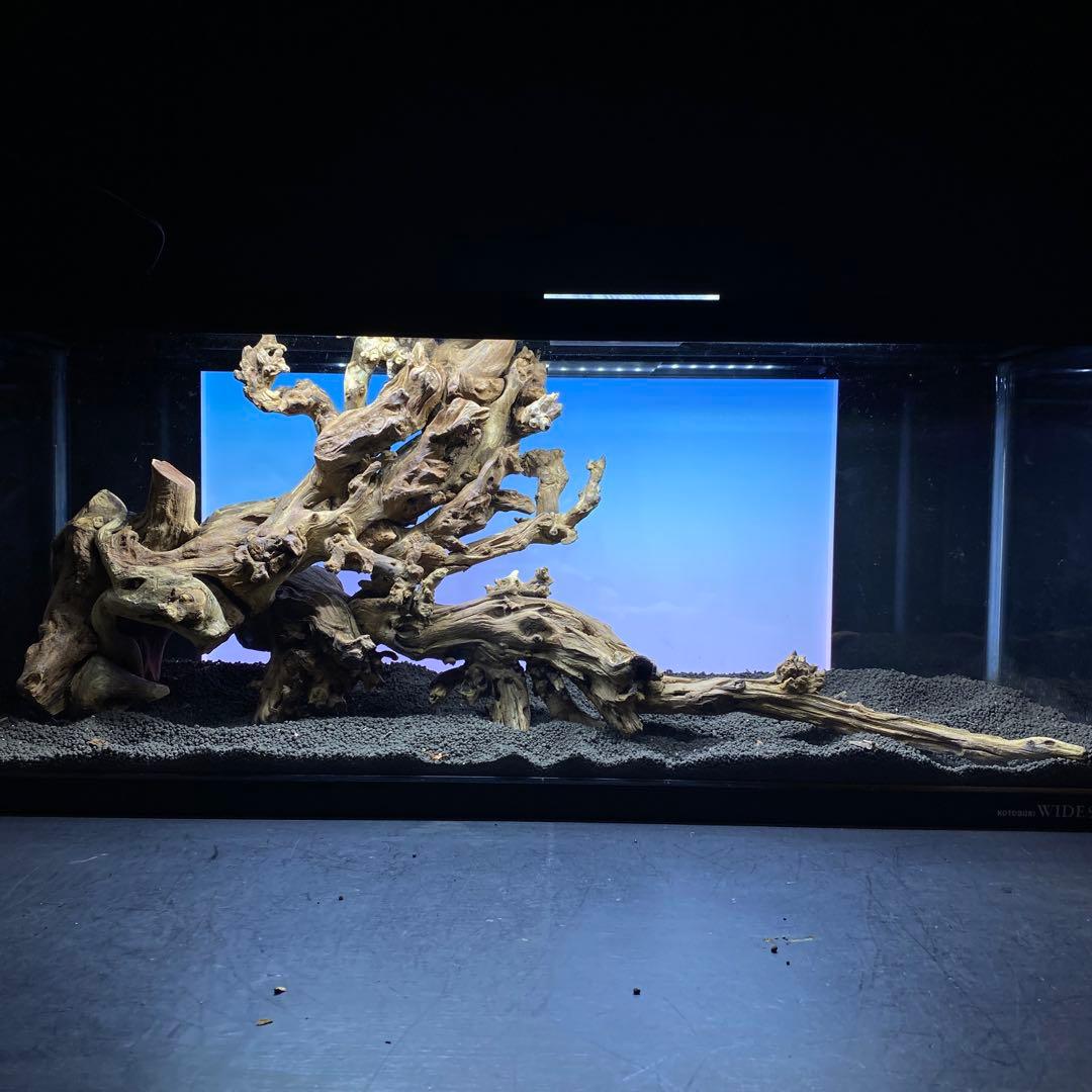 MSW-6439 /90cm水槽用天然流木　2本セット　枝流木　アクアリウム