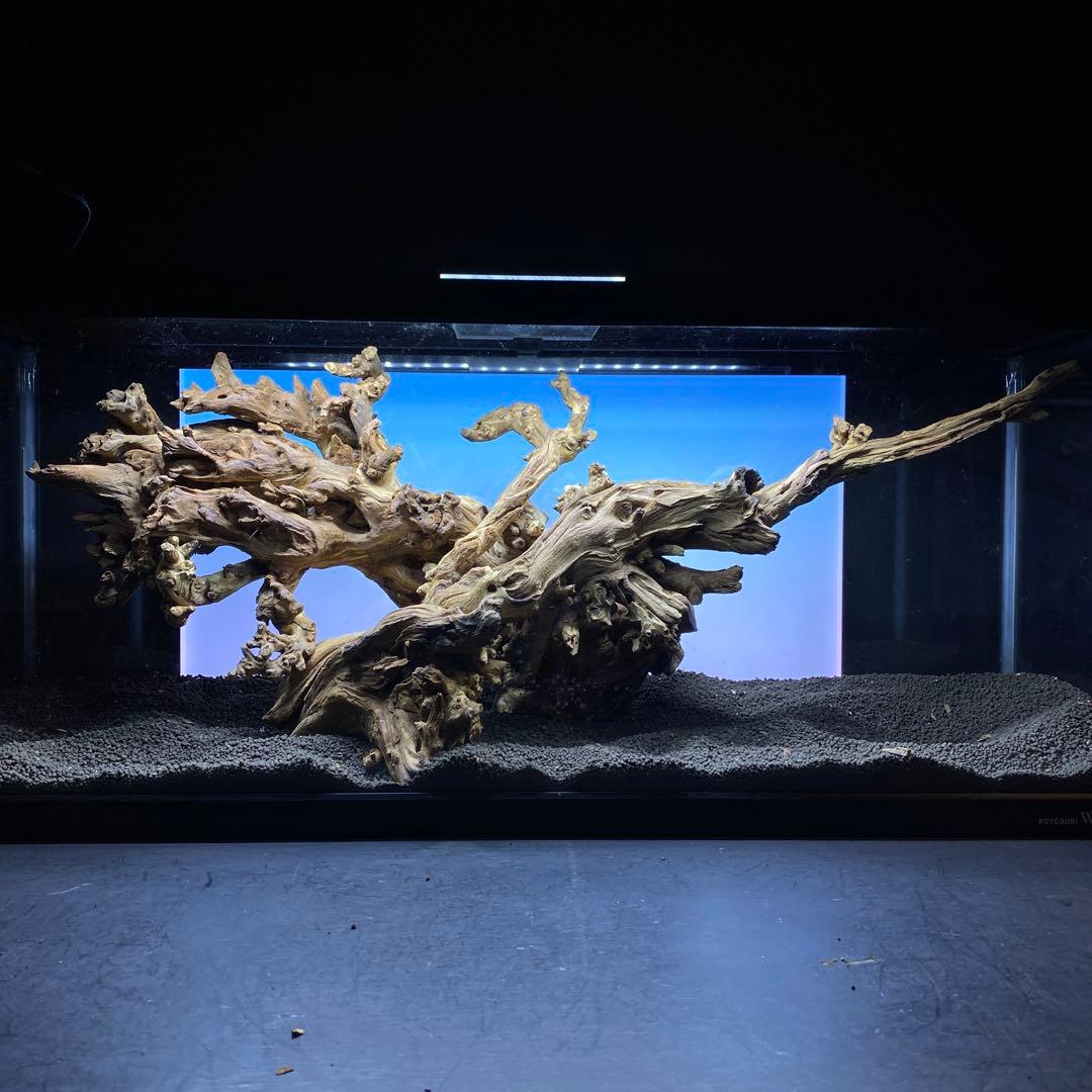 MSW-6439 /90cm水槽用天然流木　2本セット　枝流木　アクアリウム