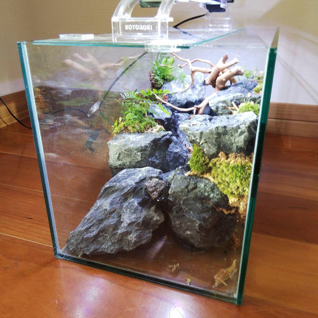 【受注生産】横から見るアクアテラリウム