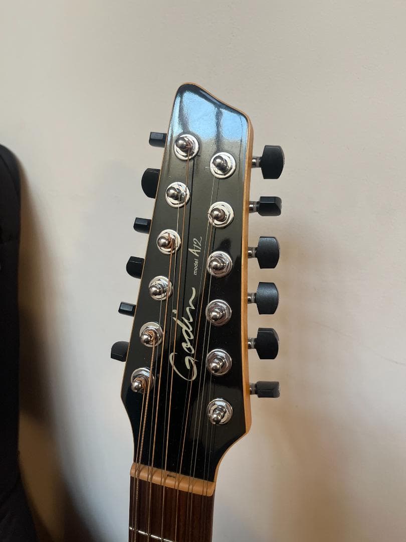 GODIN　ゴダン　アコースティックギター　A１２　１２弦ギター　エレアコ