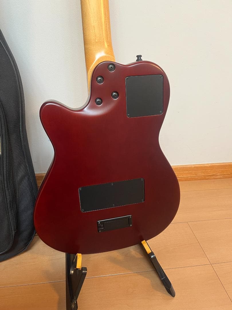 GODIN　ゴダン　アコースティックギター　A１２　１２弦ギター　エレアコ