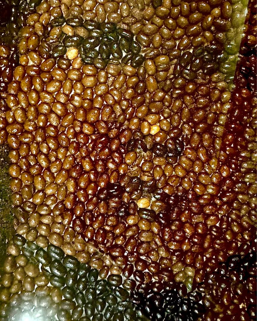 クリスティアーノ・ロナウド　美術品　アート作品　コーヒー豆