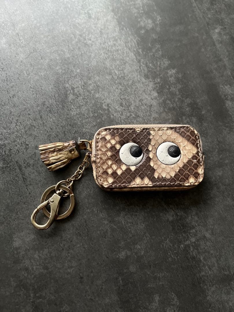 アニヤハインドマーチ　ケース