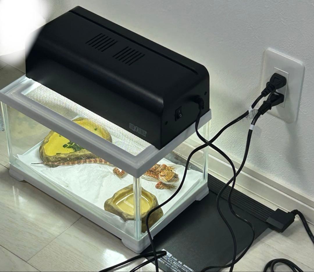 爬虫類飼育セット　フトアゴヒゲトカゲ ヒョウモントカゲモドキ レオパ 等