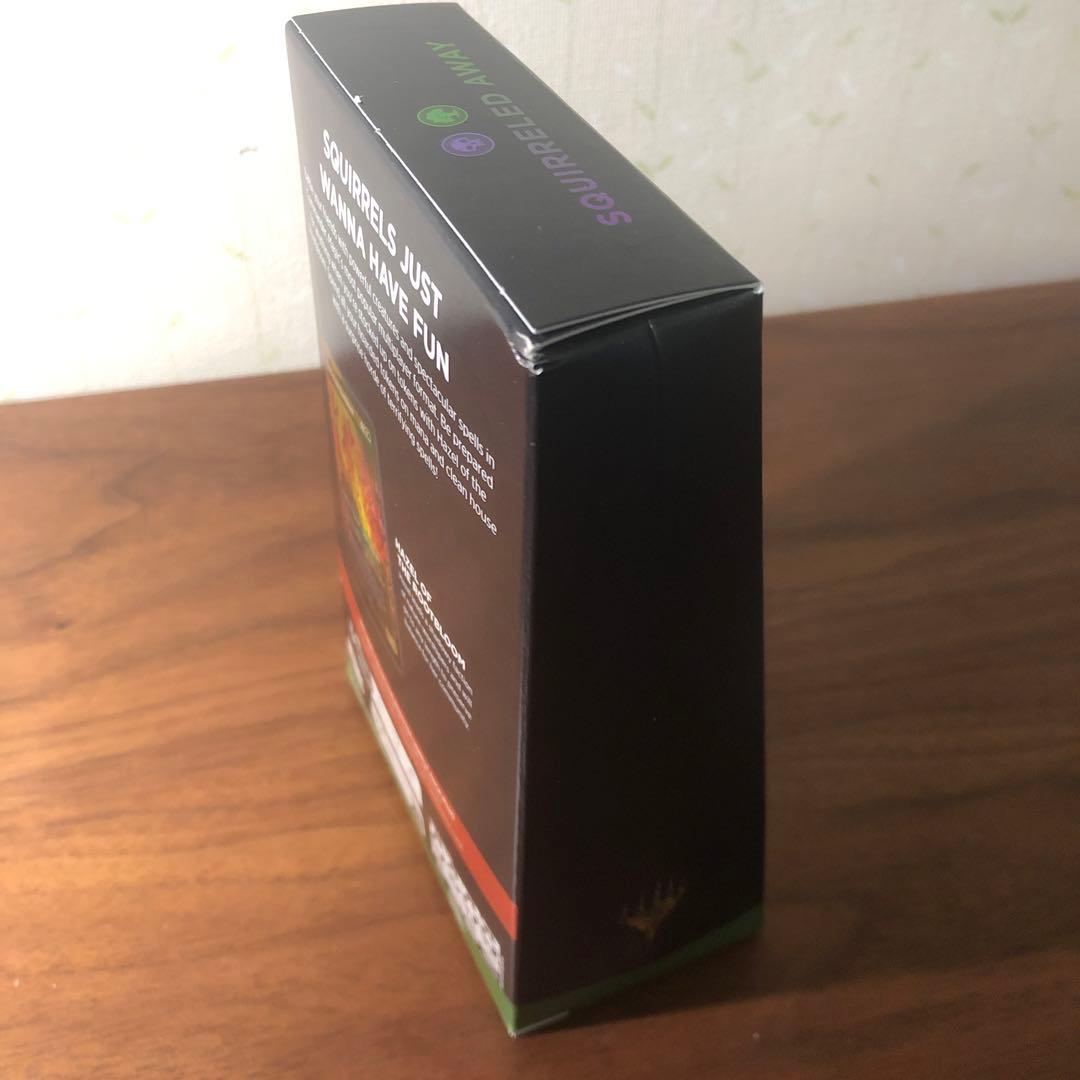 リスの悪ふざけ　SQUIRRELED AWAY BLOOMBURROW 英語版