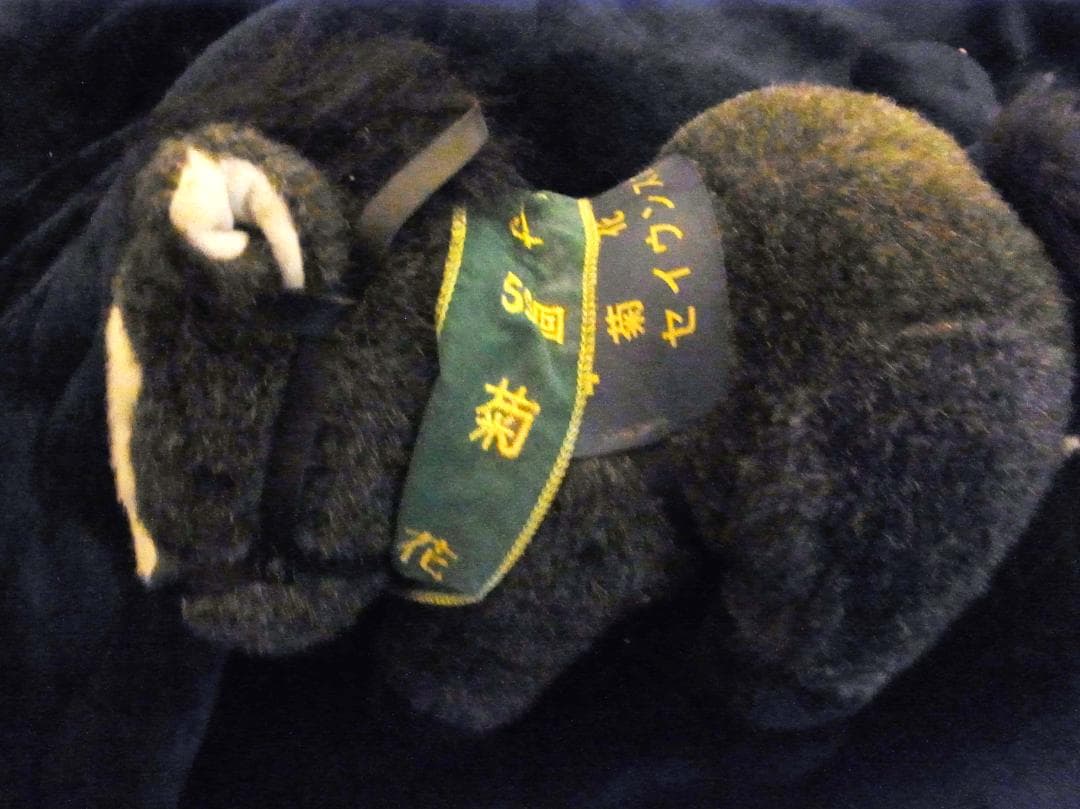 セイウンスカイ　AVANTI　ぬいぐるみ 競馬