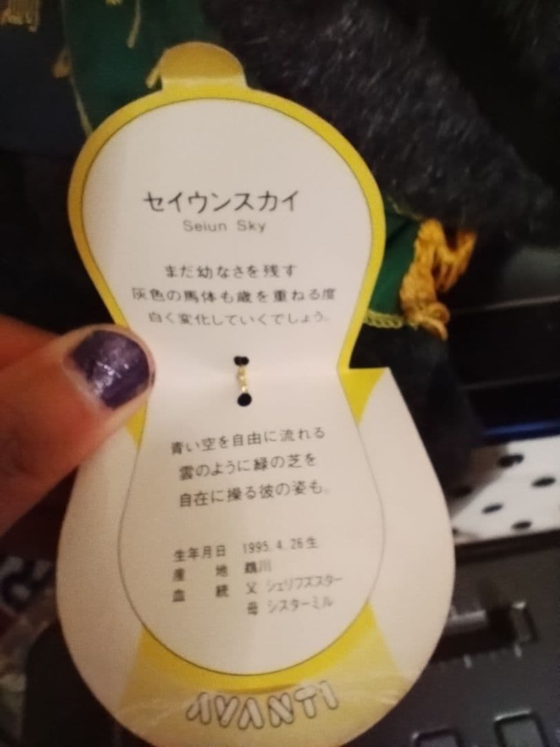 セイウンスカイ　AVANTI　ぬいぐるみ 競馬