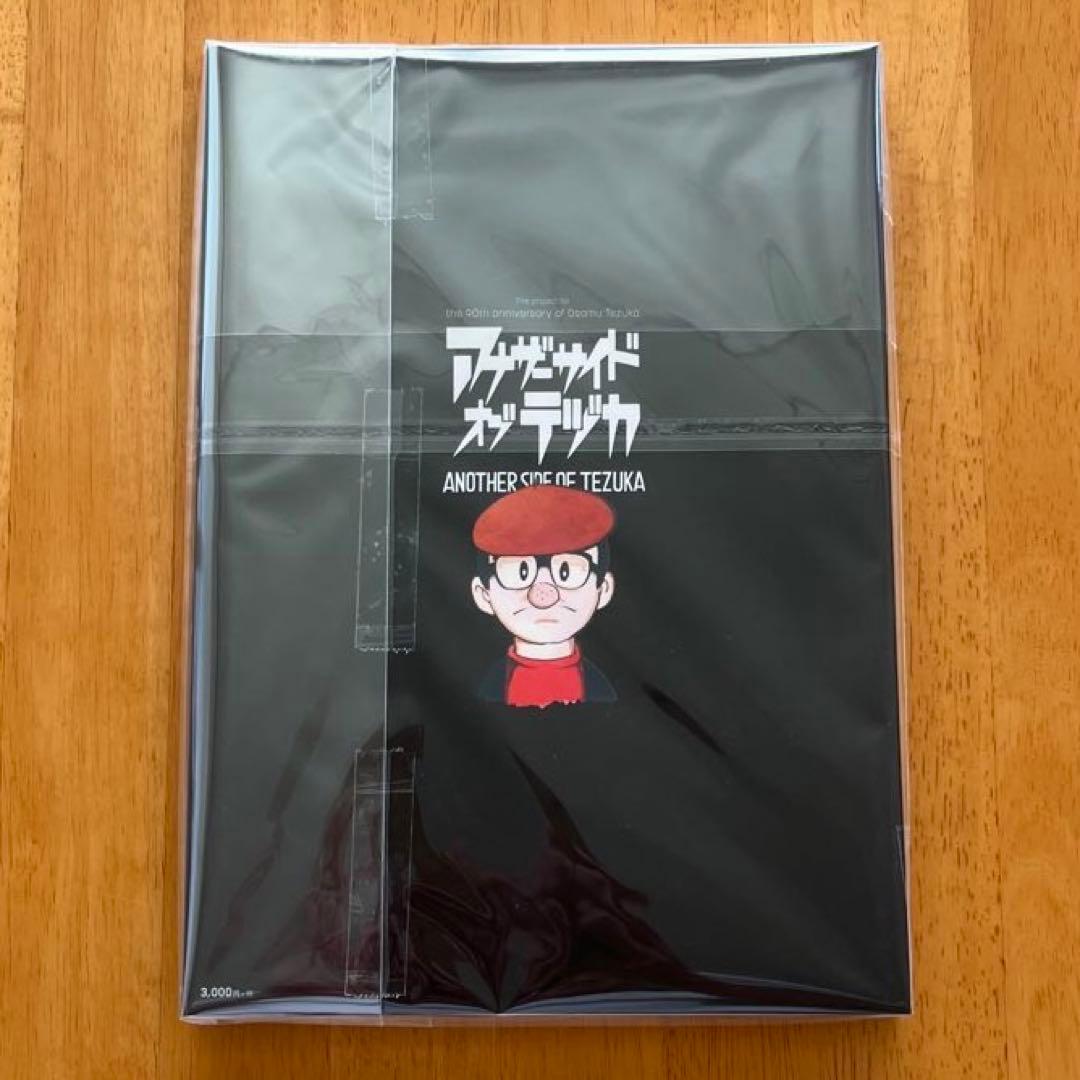 ロッキンジェリービーン アナザーサイドオブテヅカ エロスティカ 画集