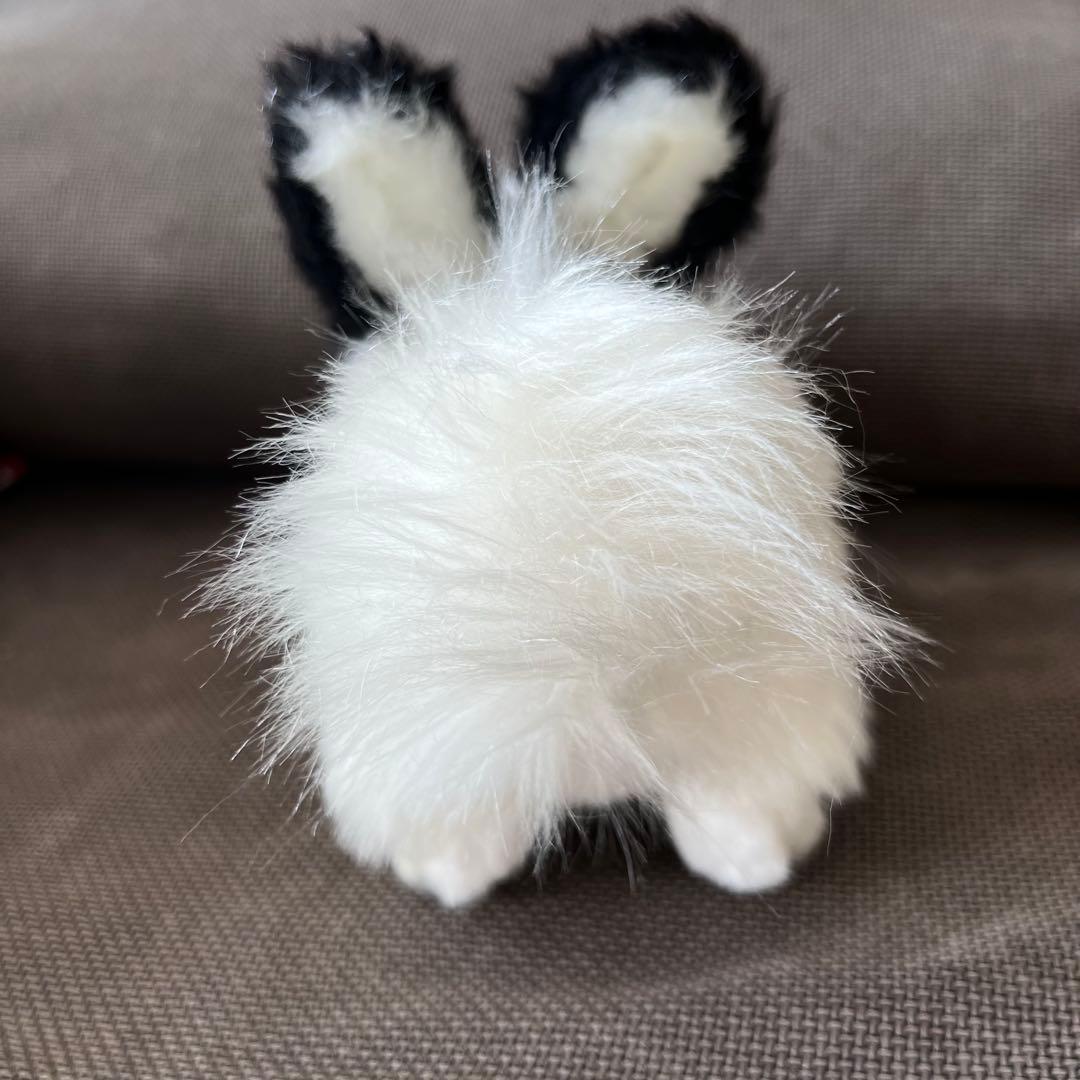 黎*様 作家様（テリトリドール様）アートドール　うみうさ