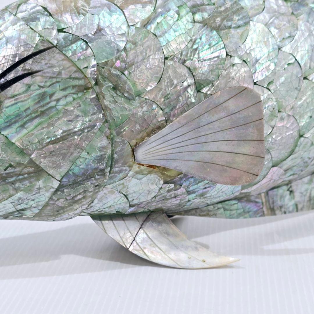 ヴィンテージ アワビ パウア貝 魚の細工 孔雀貝 オブジェ 42cm 希少