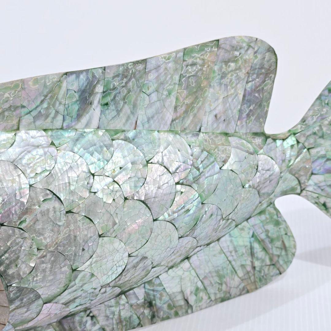 ヴィンテージ アワビ パウア貝 魚の細工 孔雀貝 オブジェ 42cm 希少