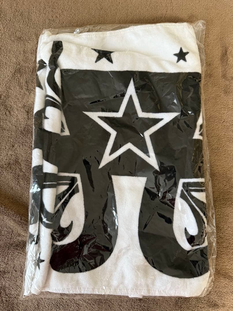 新品　浜崎あゆみ　teamAyu グッズ１０点セット