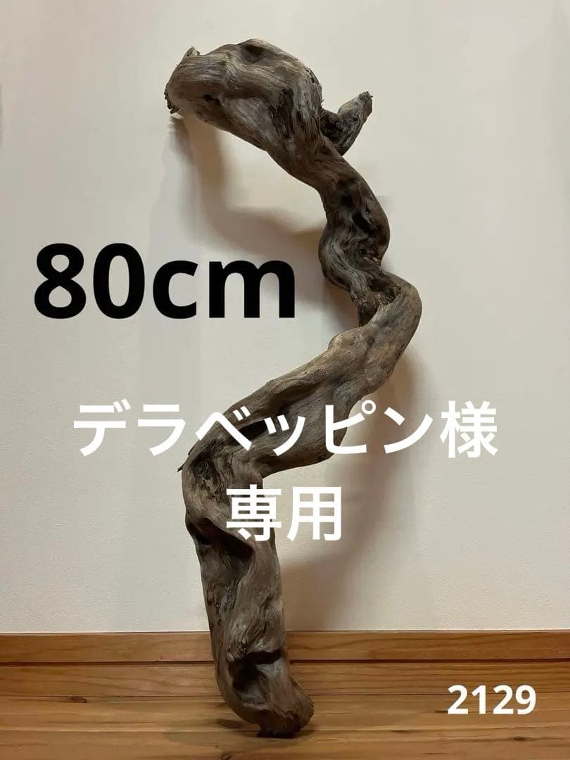 大型　流木【2129】