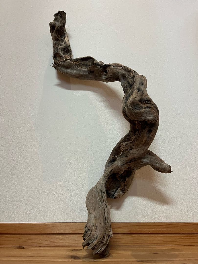 大型　流木【2129】