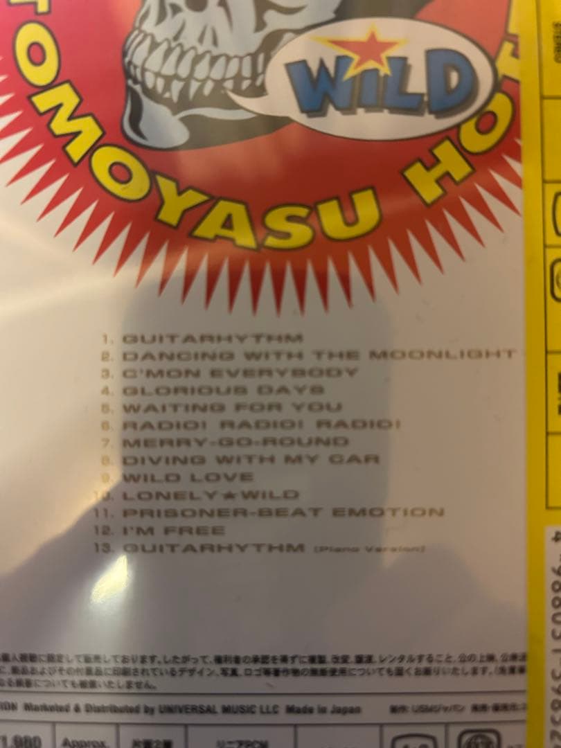 布袋寅泰　GUITARHYTHM WILD1,2