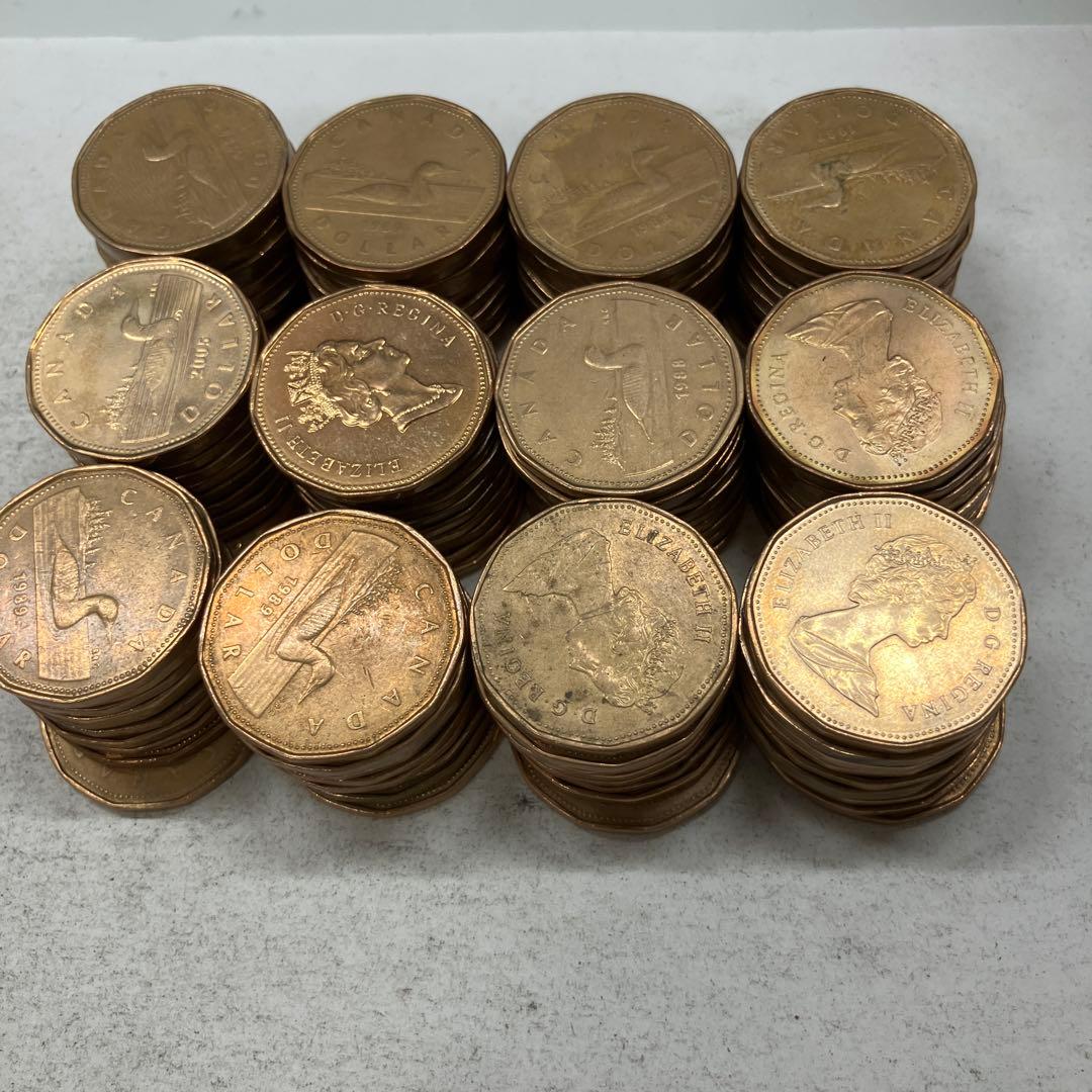 カナダ　1ドル　　硬貨　まとめ売り