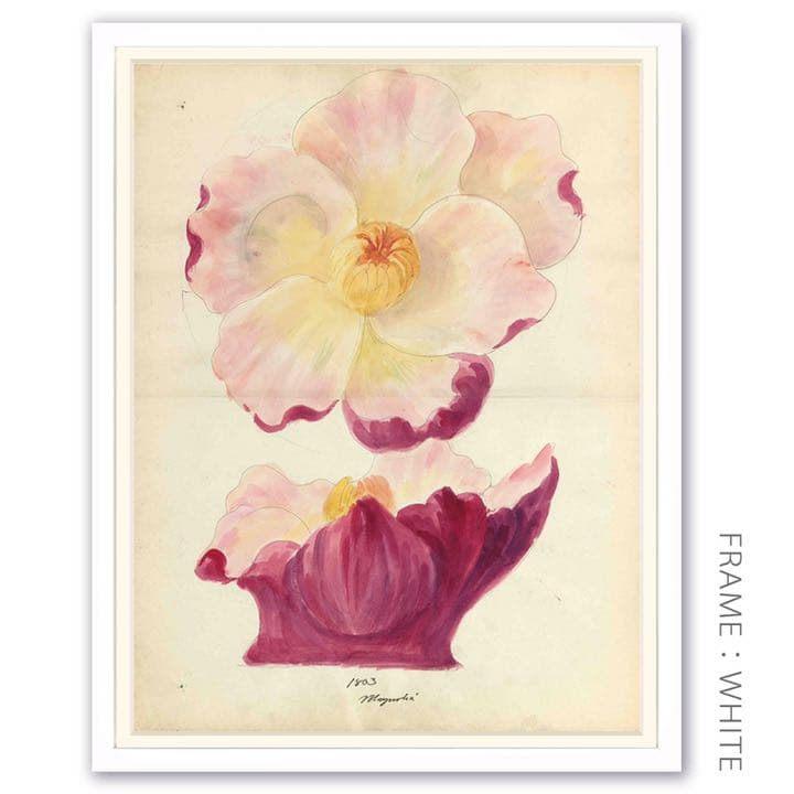 「モクレンの花柄のデザイン画」 【フレームサイズ 32×26cm】