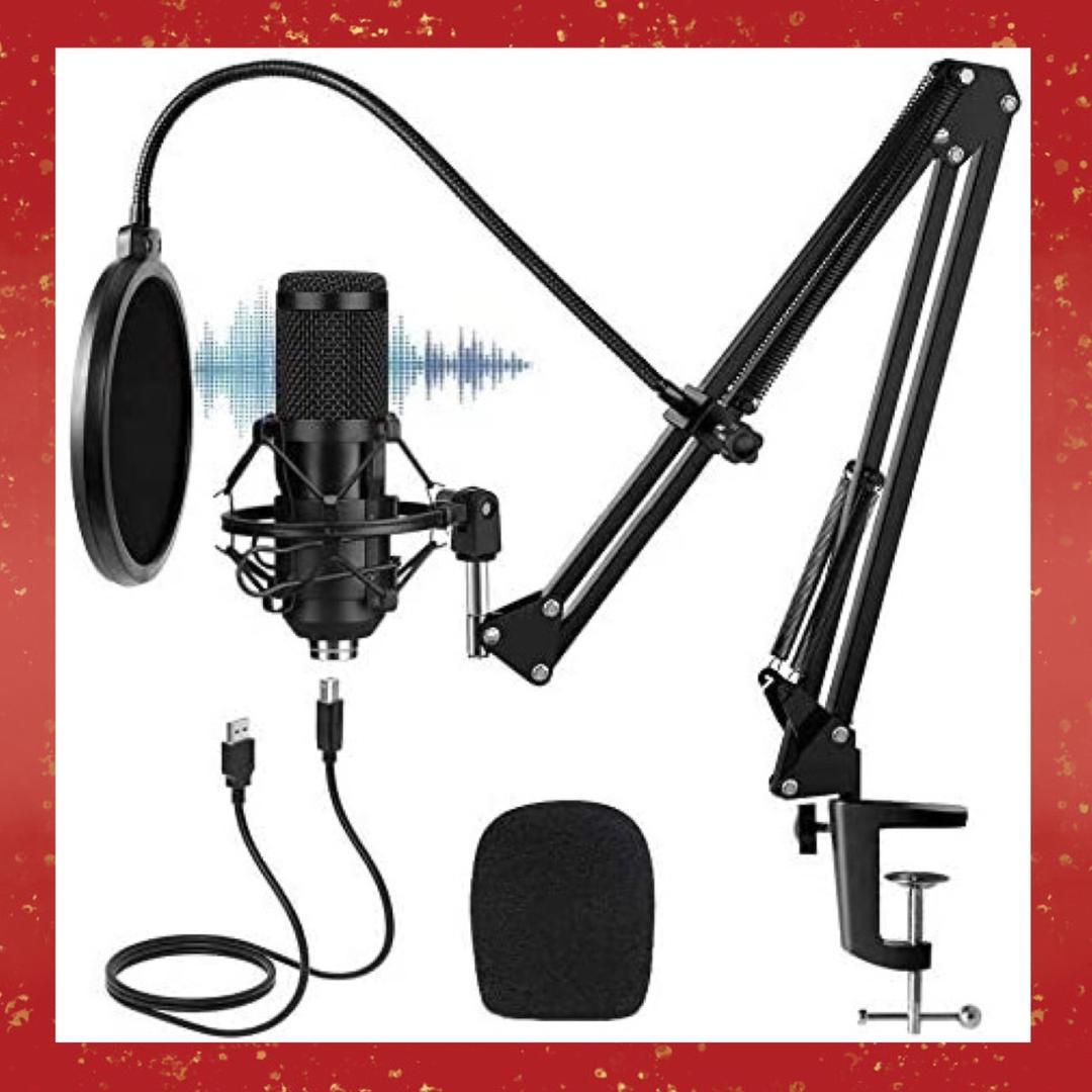 ❤プロ仕様で高音質＆高性能♪❤プロフェッショナル❣コンデンサーマイクセット