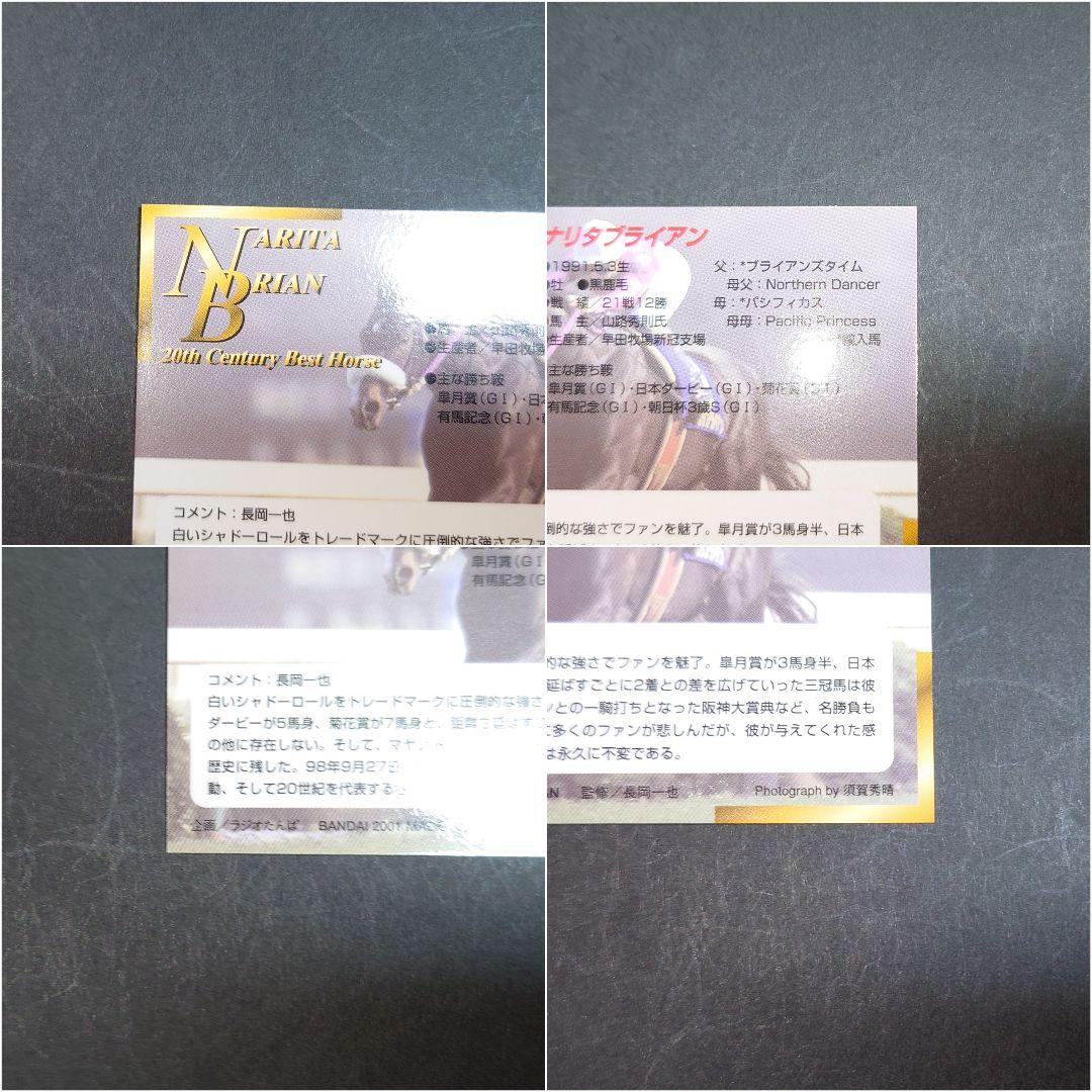 【非売品】サラブレッドカード2000下半期 プレゼント ナリタブライアン カード
