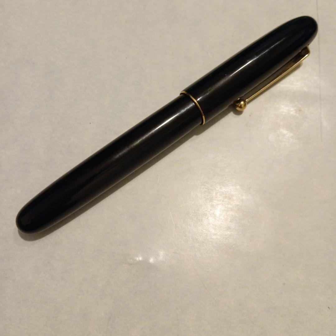 パイロット　ナミキウルシ 20号 ＋　プラチナ万年筆　14Ksmニブ　異種ペン