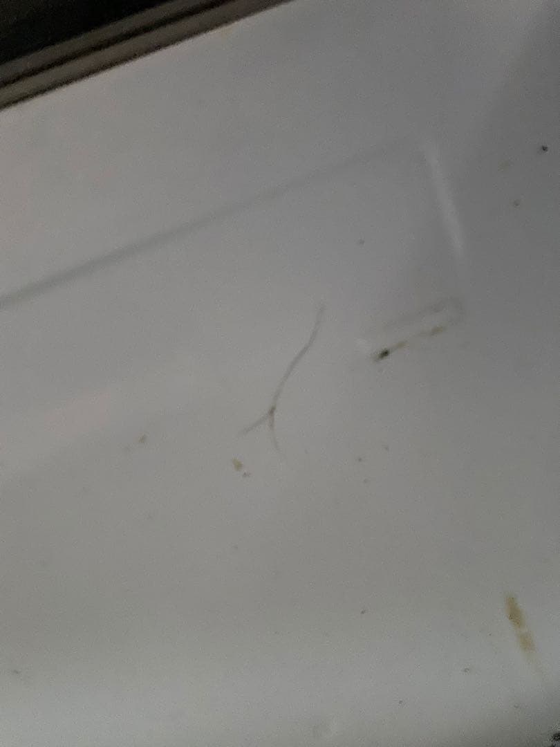 【送料込】MITSUBISHI 冷蔵庫 MR-P15E-B 2020年製　訳あり