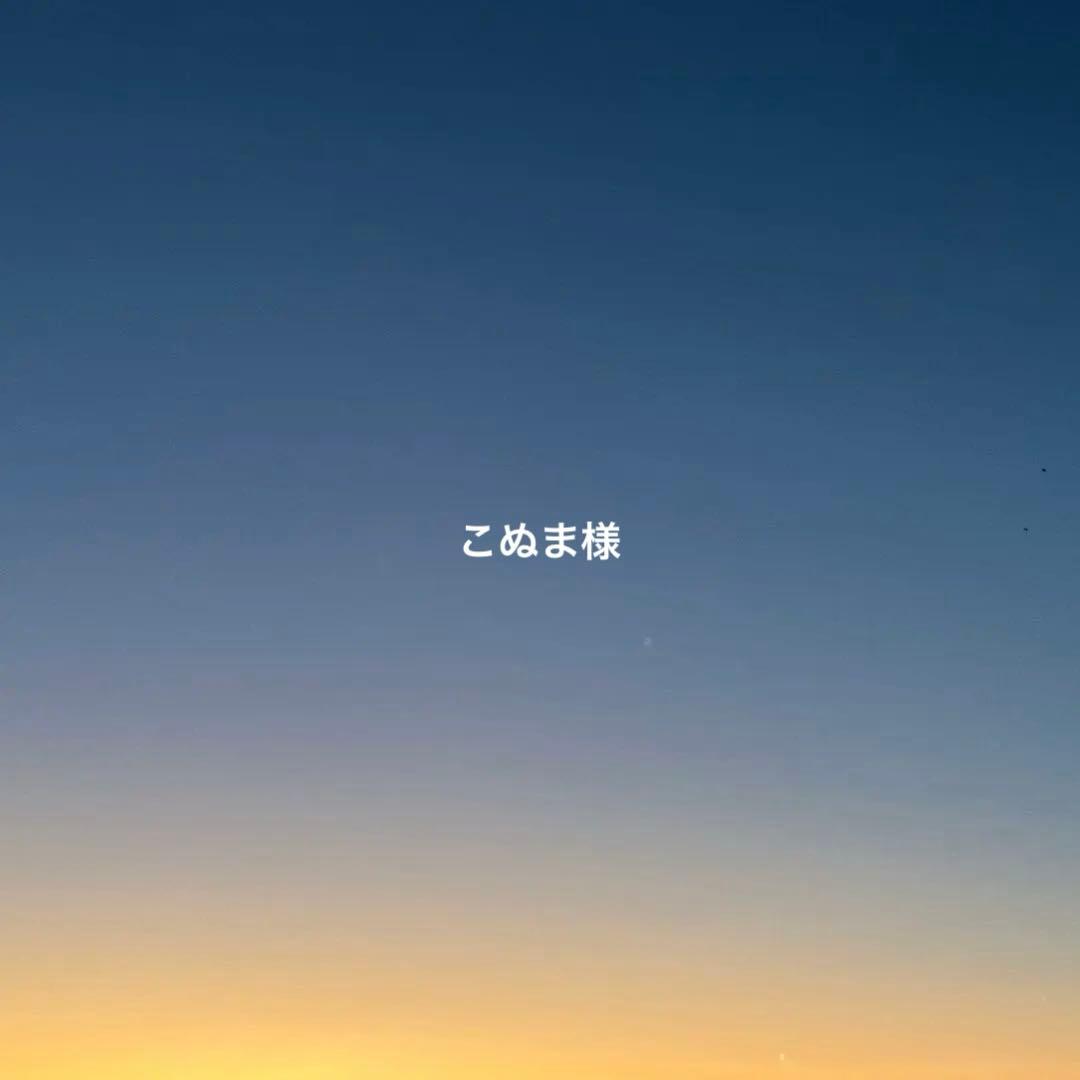 こぬま様　ご教授ください。