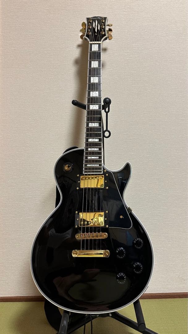 Grassroots G-LP-CTM ・ARIA PROⅡ AB-10PLUS