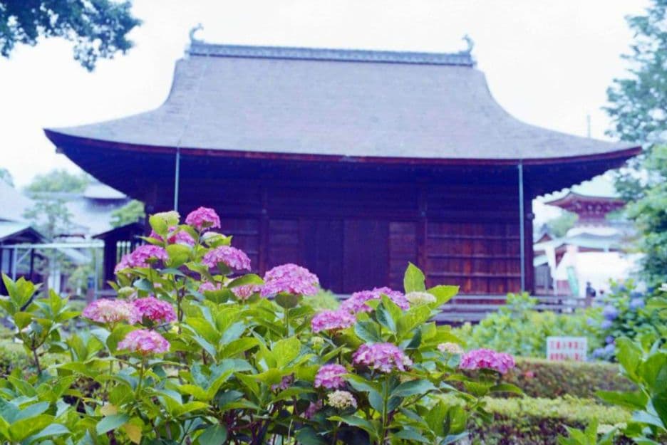 Canon EOS Rebel Ti フィルムカメラ　標準ズームレンズ付