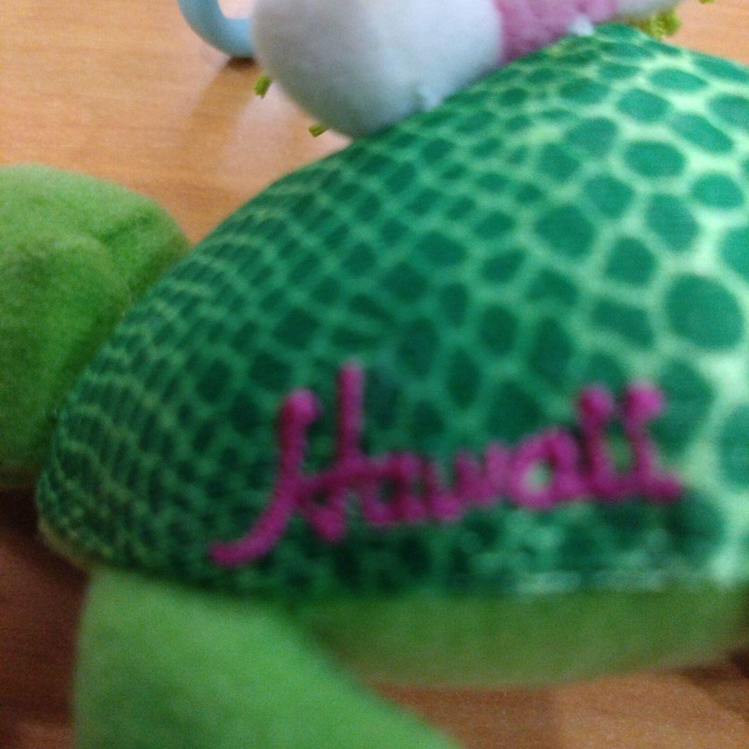 ご当地　ハワイ限定　キティ　カメ