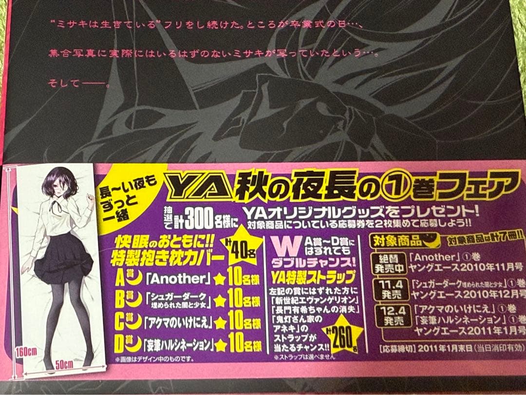 未開封 Another 秋の夜長 A賞 抱き枕カバー 見崎鳴 ヤングエース