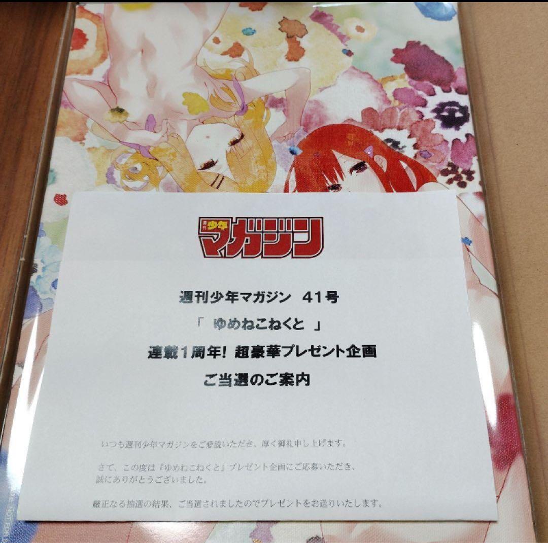 希少　週刊少年マガジン 41号 ゆめねこねくと 懸賞当選品　キャンバスアート
