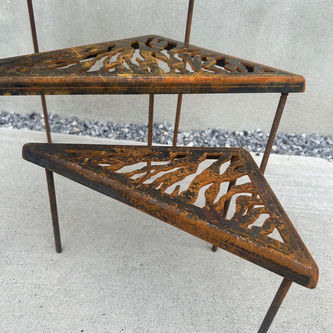 山賊マウンテン デルタス 虎　derutas tiga