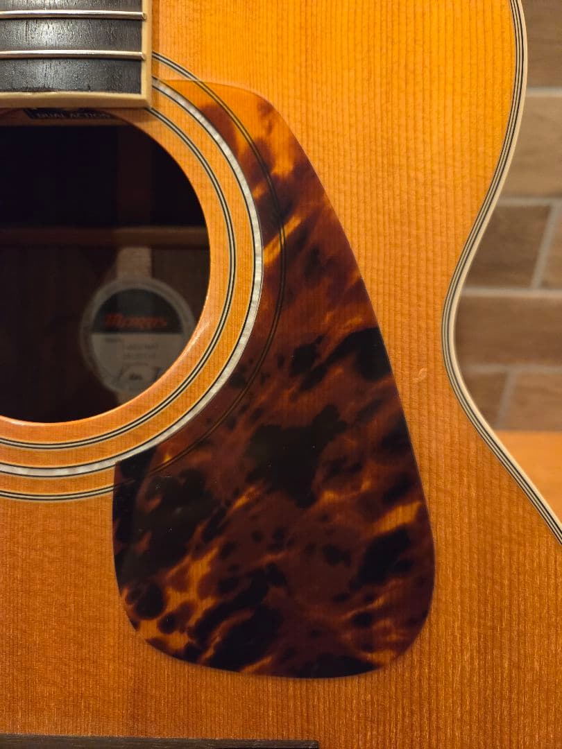 Morris モーリス アコースティックギター
