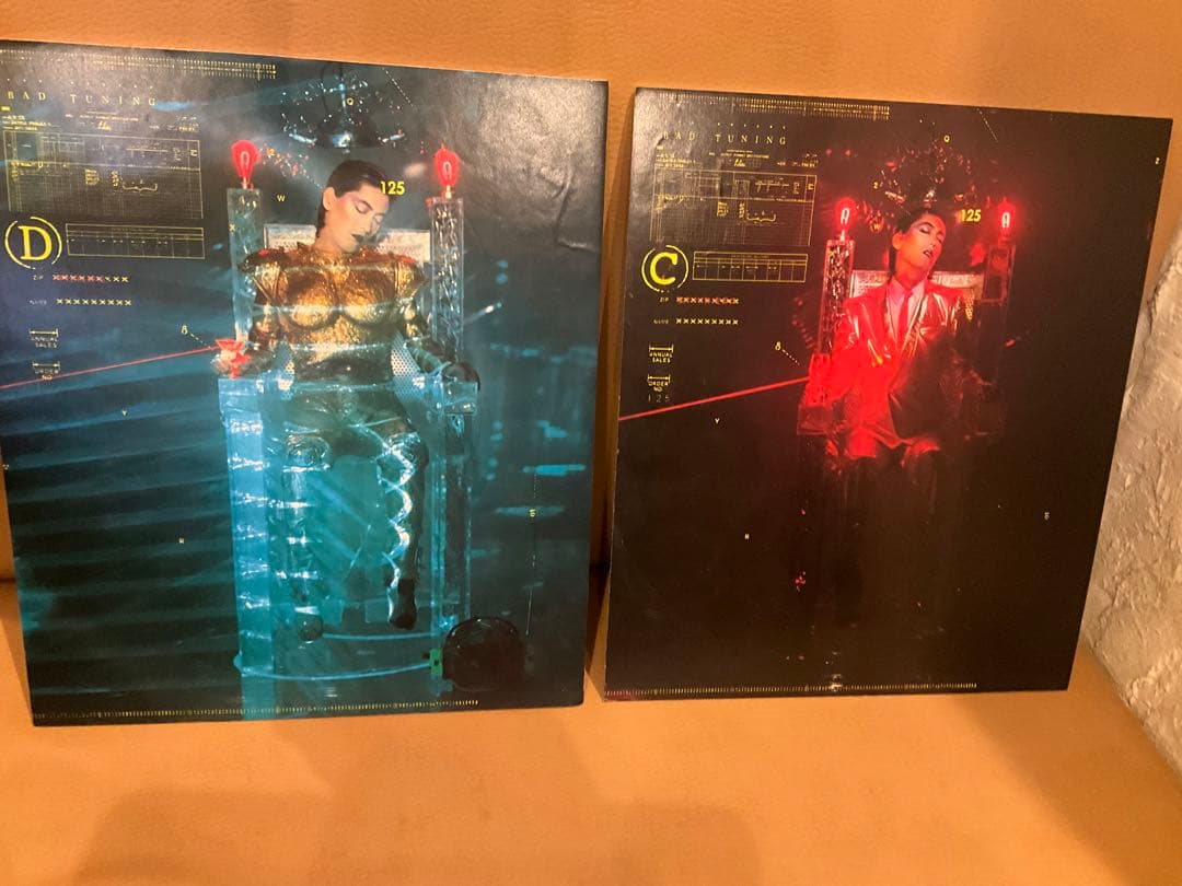 【当時物】　沢田研二　早川タケジ　薄型パネル　2枚組。