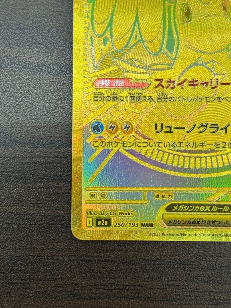 メガカイリューex mur