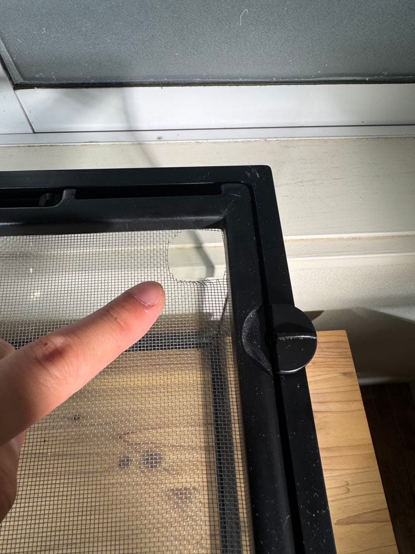 爬虫類　飼育セット　フトアゴ　リクガメ