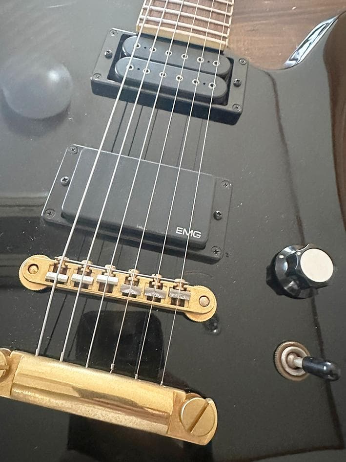 EMG81 DP100搭載 FERNANDES モッキンバード MG