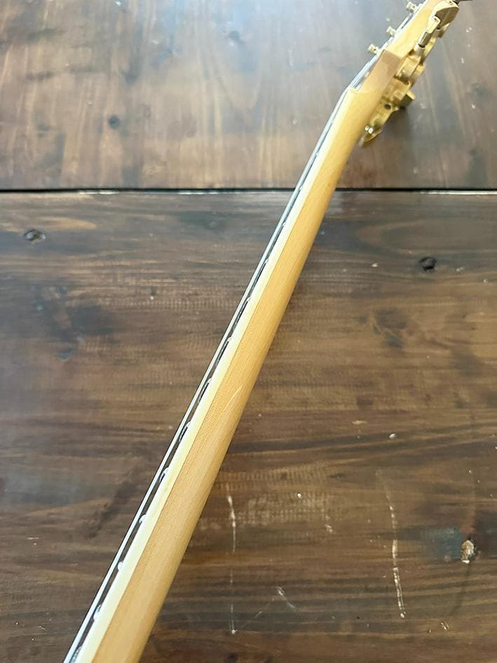 EMG81 DP100搭載 FERNANDES モッキンバード MG