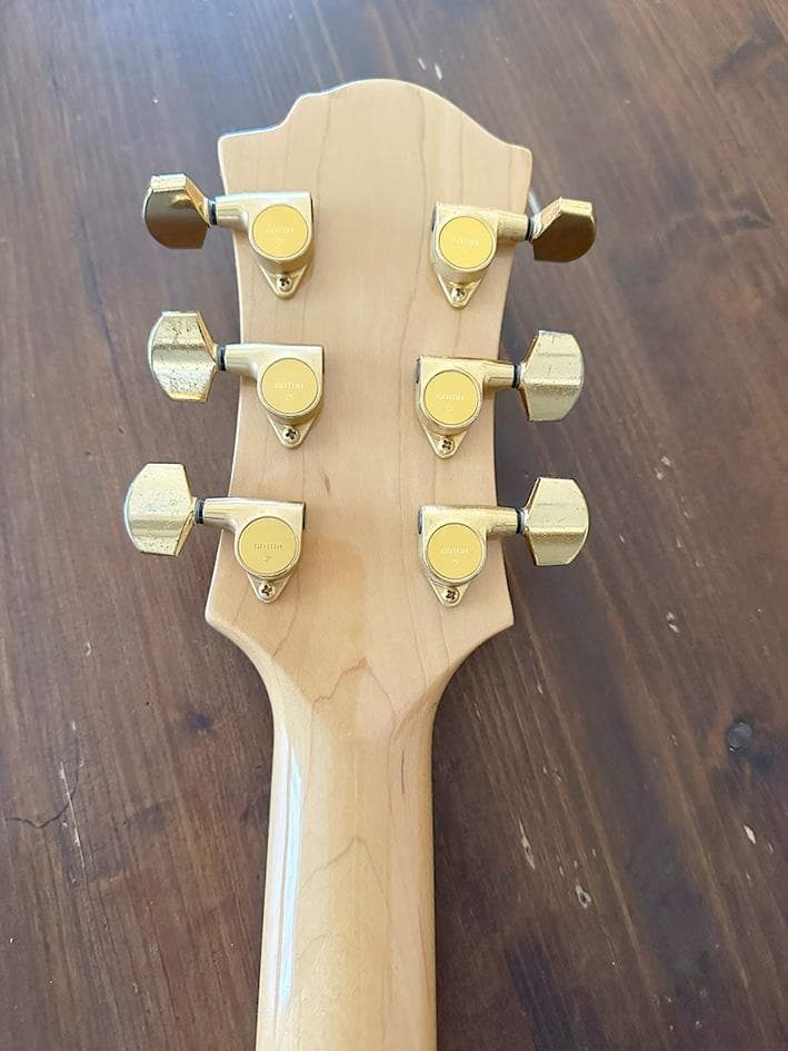 EMG81 DP100搭載 FERNANDES モッキンバード MG