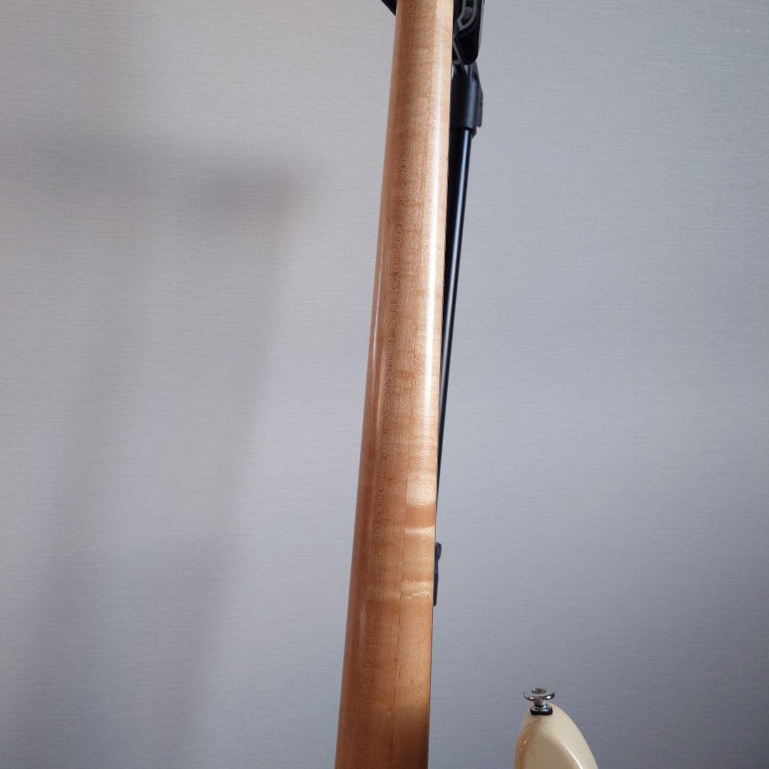 Bacchus twenty alder Custom4　バッカスベース